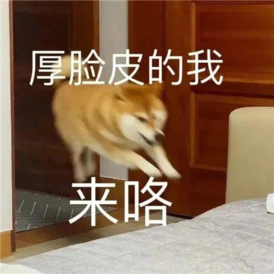 网络上那些很火的表情包 很赞的表情大全