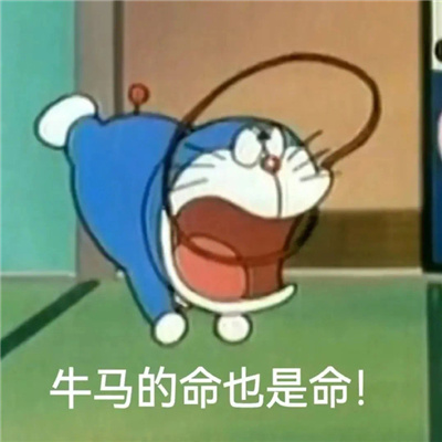 2024搞笑女最爱的沙雕表情大全 天塌了都别叫我