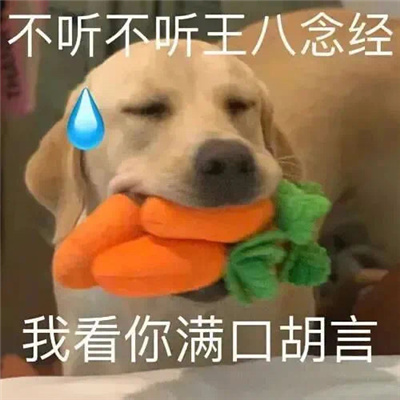 2024搞笑女最爱的沙雕表情大全 天塌了都别叫我