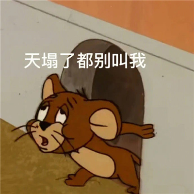 2024搞笑女最爱的沙雕表情大全 天塌了都别叫我