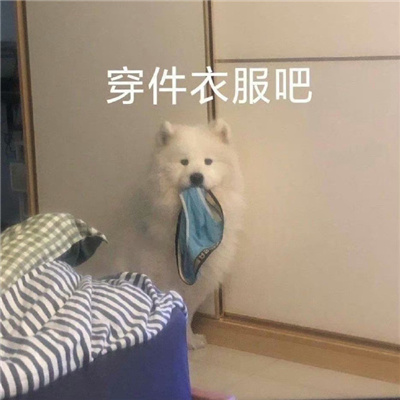 网络最火表情大全最新版 实用频率超高表情合集