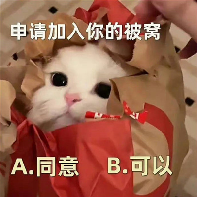 网络最火表情大全最新版 实用频率超高表情合集