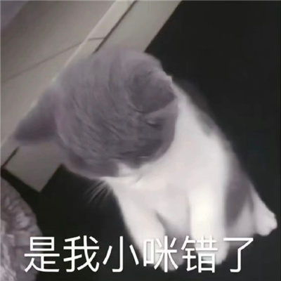 网络最火表情大全最新版 实用频率超高表情合集