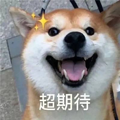 各种超级可爱的搞怪表情合集 别老给那女的发消息记得给我也发几条