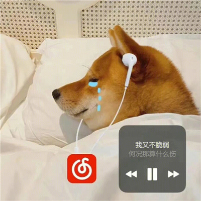 各种超级可爱的搞怪表情合集 别老给那女的发消息记得给我也发几条