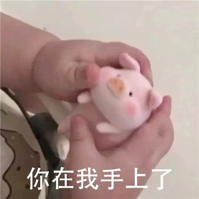 超级可爱非常开心的表情合集 收藏已久的万能且快乐表情