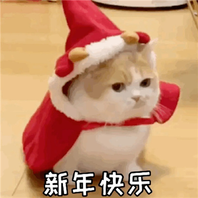 2024新年祝福喜庆表情大全 2024陪在你身边岁岁又年年