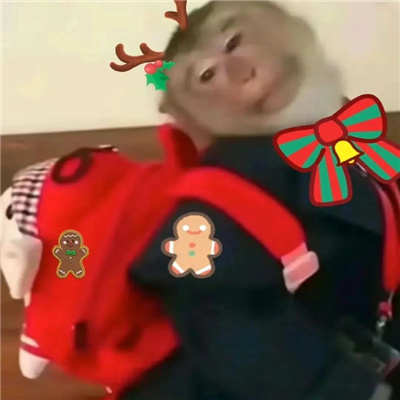 圣诞小吗喽表情超级可爱 吗喽奎斯马斯