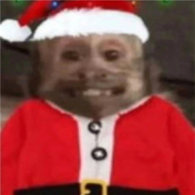 圣诞小吗喽表情超级可爱 吗喽奎斯马斯