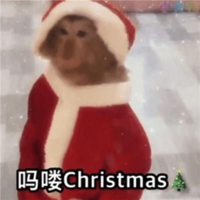 圣诞小吗喽表情超级可爱 吗喽奎斯马斯
