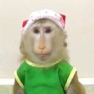 圣诞小吗喽表情超级可爱 吗喽奎斯马斯