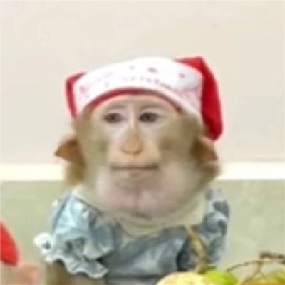 圣诞小吗喽表情超级可爱 吗喽奎斯马斯