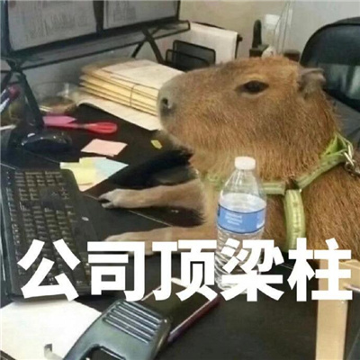 表情包沙雕又十分的搞怪 呦呦呦把你能的