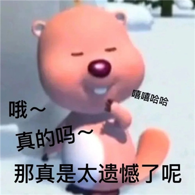 2024超沙雕显眼包露比微信表情 真烦你这个显眼包