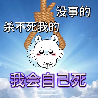 好用的Chiikaw飞鼠莫莫咖表情包 很魔性的聊天趣味表情合集