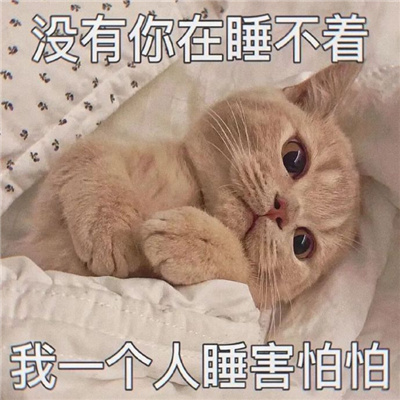 不耐烦的怼人表情大全 讲道理我就是道理