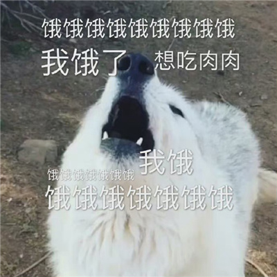 沙雕表情很拽很可爱聊天必备 很叼很霸气的表情合集