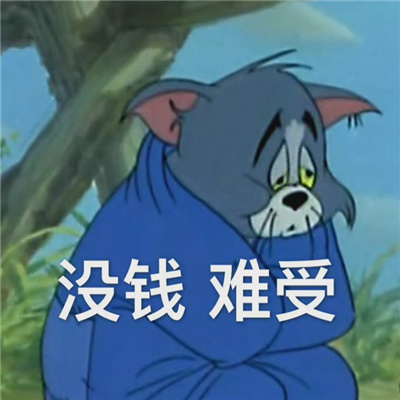 沙雕表情很拽很可爱聊天必备 很叼很霸气的表情合集