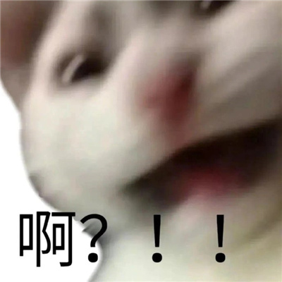2024发疯大叫表情合集 抓狂表情要疯了