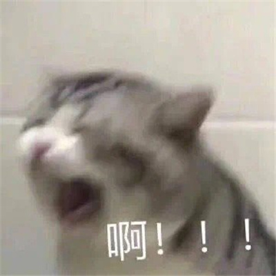 2024发疯大叫表情合集 抓狂表情要疯了