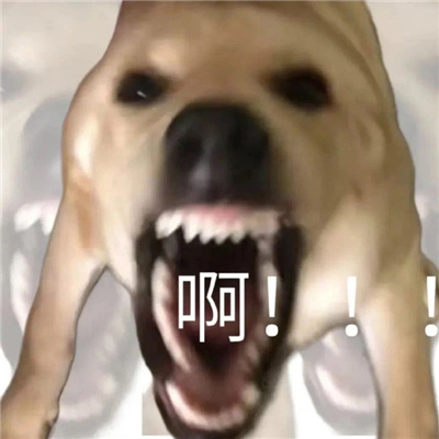 2024发疯大叫表情合集 抓狂表情要疯了