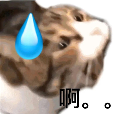 2024发疯大叫表情合集 抓狂表情要疯了