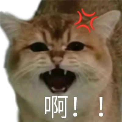 2024发疯大叫表情合集 抓狂表情要疯了