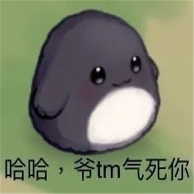 实用暴走斗图表情聊天很火 我他妈就是爱生气你管得着吗