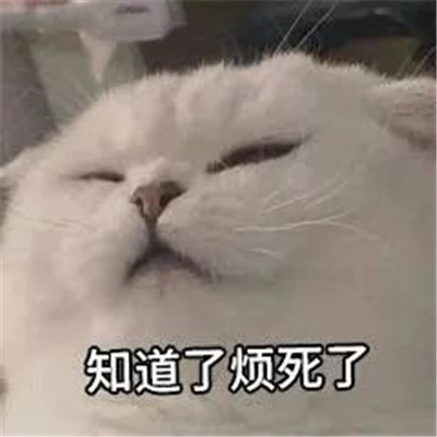 烦死了好烦啊烦人表情 很烦的表情最新版大全