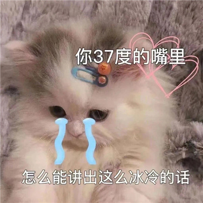 怼人不带脏字的狠话表情 让你聊天不会吃亏的表情