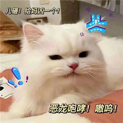 怼人不带脏字的狠话表情 让你聊天不会吃亏的表情