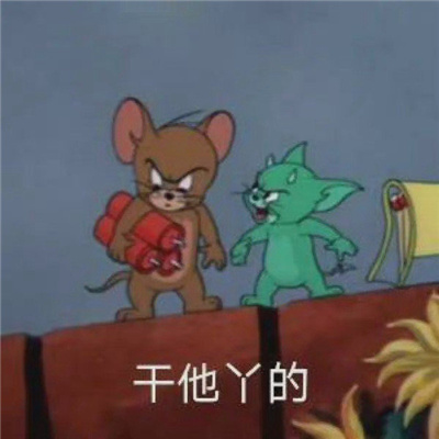 吵架表情每张都适用 狗都比你玩的好