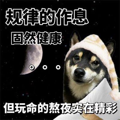 近期使用频率很高的斗图表情 不是吧阿sir