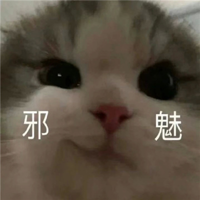 近期常用的斗图表情包 眼泪偶尔会莫名的光顾