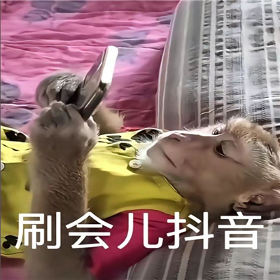 趣好玩的斗图表情包 别矜持了我喜欢主动的男人