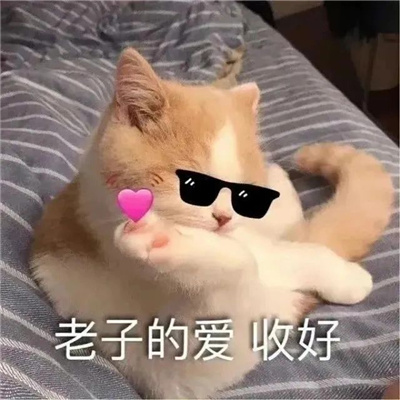 趣好玩的斗图表情包 别矜持了我喜欢主动的男人