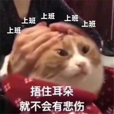 快乐搞怪聊天的斗图表情合集 加我我妈变咱妈