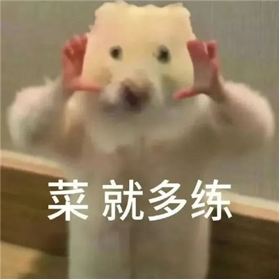 快乐搞怪聊天的斗图表情合集 加我我妈变咱妈