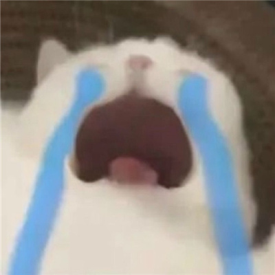 快乐搞怪聊天的斗图表情合集 加我我妈变咱妈