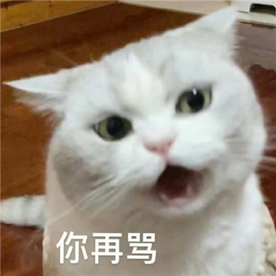 快乐的斗图表情大全2024版 小白兔又能知道什么呢