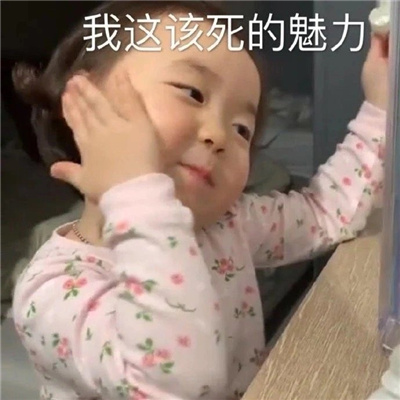 2024最新版斗图表情合集 我这该死的魅力