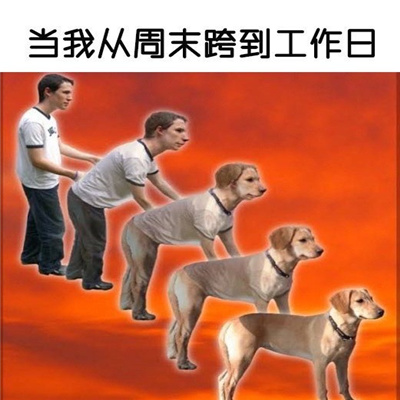 2024新鲜的斗图表情搞怪合集 从白天摆到黑夜