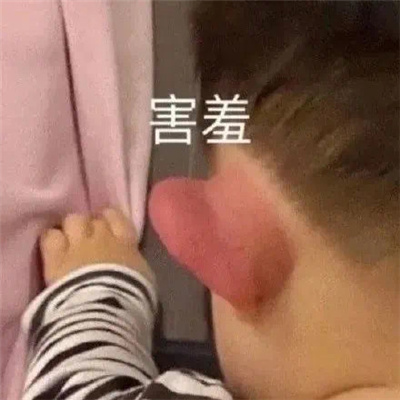 近期火爆的热门斗图表情 2024用来聊天的表情大全