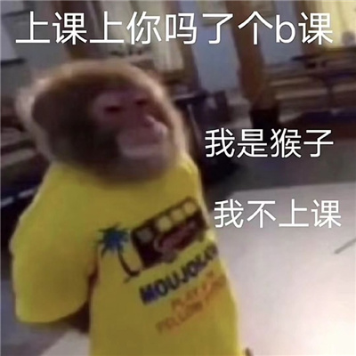 近期火爆的热门斗图表情 2024用来聊天的表情大全