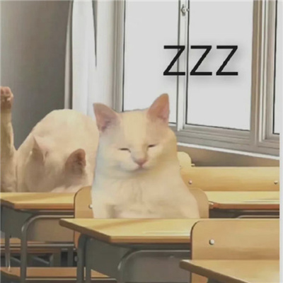 近期火爆的热门斗图表情 2024用来聊天的表情大全