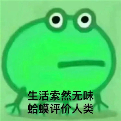 实用发疯表情包2024版爆笑好用  抓狂好用的表情合集