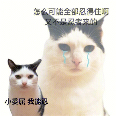 用来怼人表情很热门 各种怼人系列表情