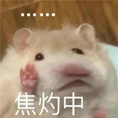 用来怼人表情很热门 各种怼人系列表情