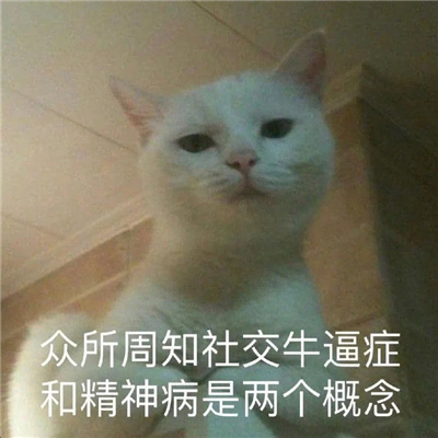 日常斗图必备高级怼人的表情合集 你是畜生也不行