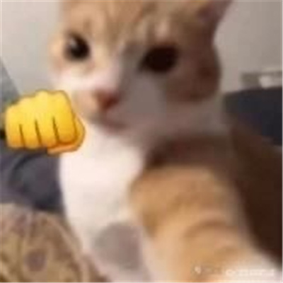 聊天必备搞怪土味表情无水印 张张很有特色的趣味表情合集